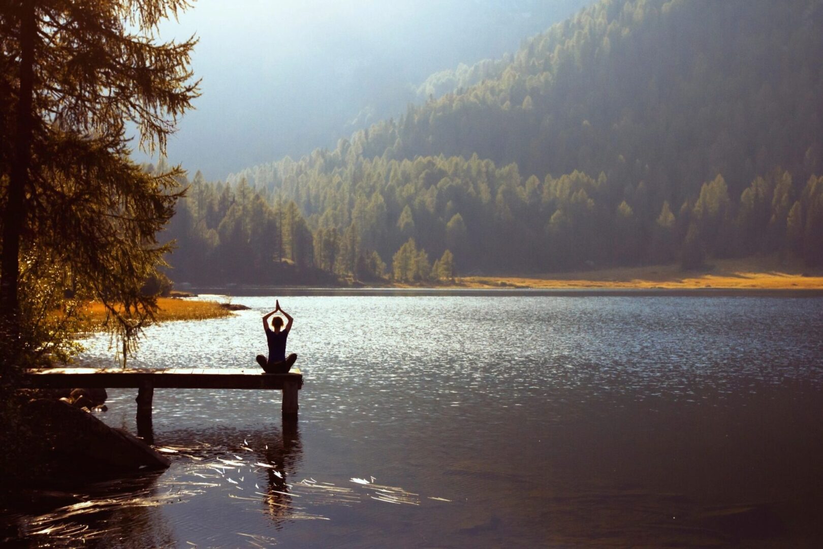 A bench in the middle of a lake